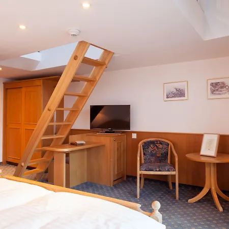 Walliserhof 酒店 3*