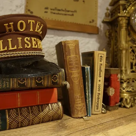 Walliserhof Otel 3*